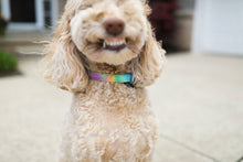 Load image into Gallery viewer, Tie Dye Dog/Cat Collar & Leash