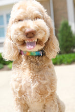 Load image into Gallery viewer, Tie Dye Dog/Cat Collar & Leash