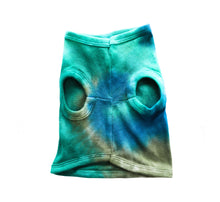 Load image into Gallery viewer, Tie Dye Doggy & Me Set
