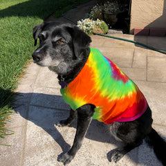 The Peace Pup Tank