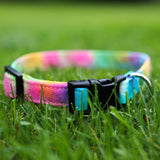 The Little Wanderer Collar & Leash